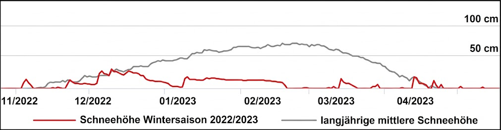 Liniendiagramm: rote Linie Schneehöhe Wintersaison 2022/2023, graue Linie langjährige mittlere Schneehöhe, Zeitachse 11/2022–04/2023